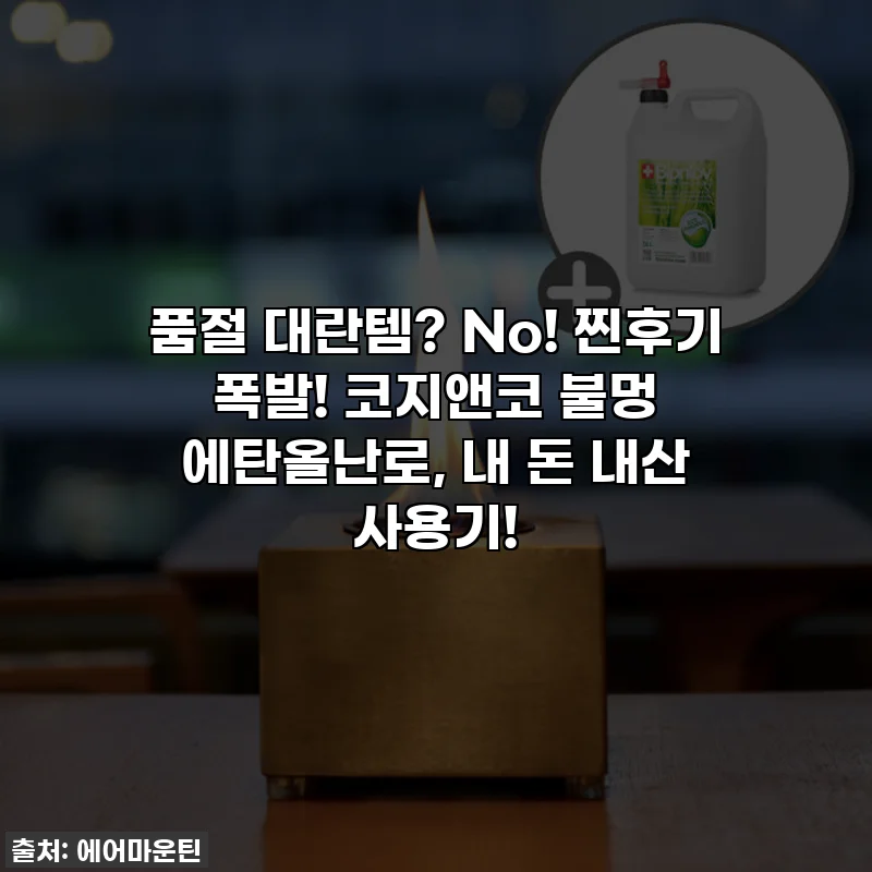 🎁 품절 대란템? No! 찐후기 폭발! 코지앤코 불멍 에탄올난로, 내 돈 내산 사용기! ✨