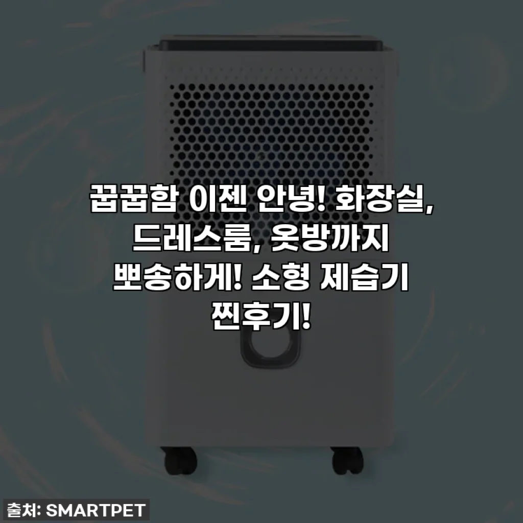 꿉꿉함 이젠 안녕! 화장실, 드레스룸, 옷방까지 뽀송하게! 소형 제습기 찐후기!
