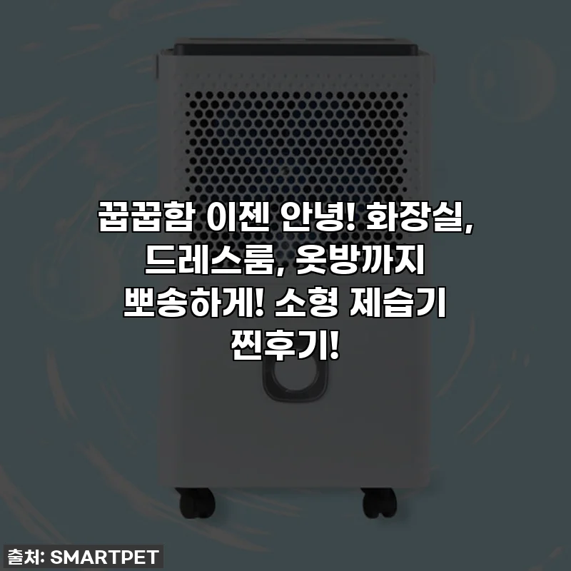 꿉꿉함 이젠 안녕! 화장실, 드레스룸, 옷방까지 뽀송하게! 소형 제습기 찐후기!
