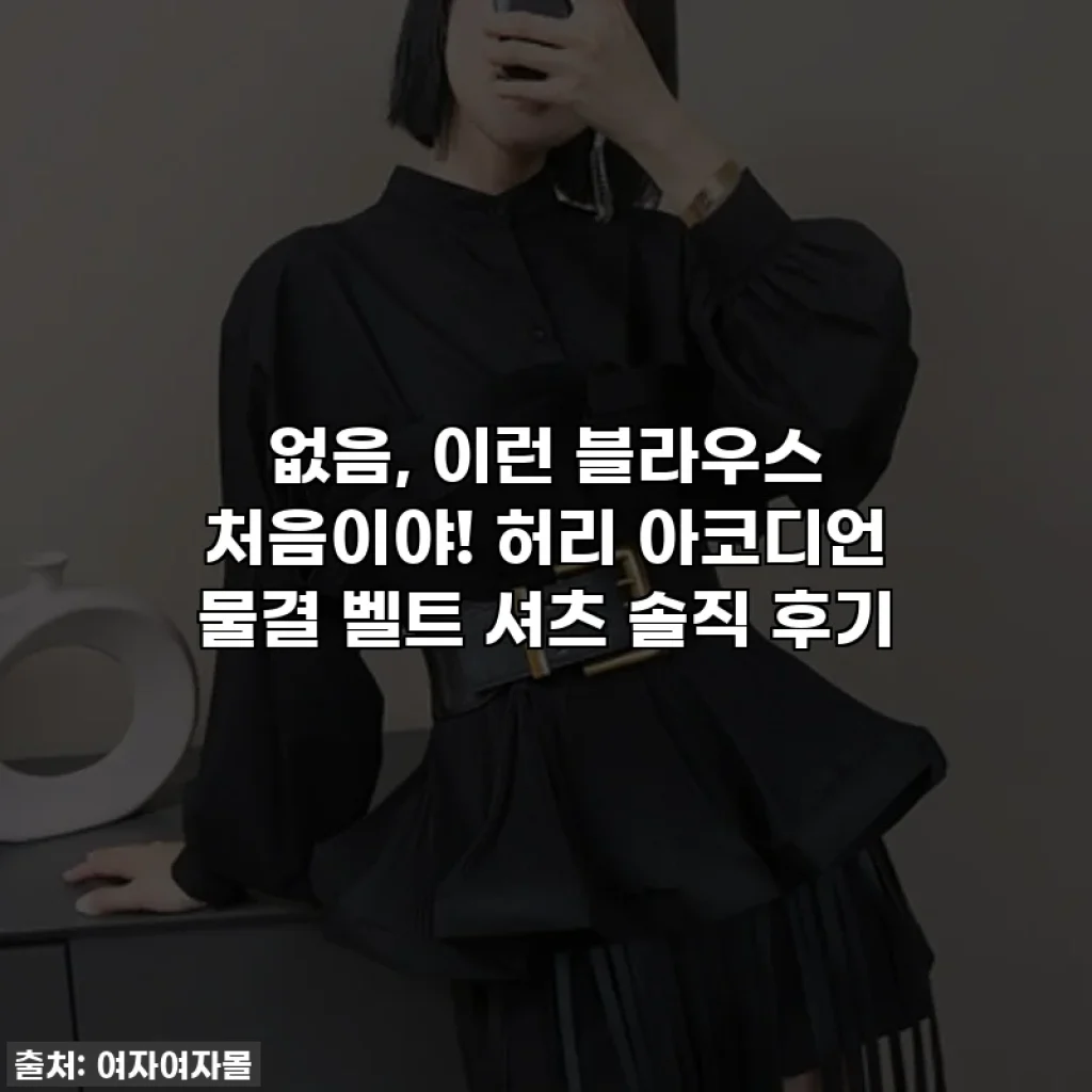 없음, 이런 블라우스 처음이야! 허리 아코디언 물결 벨트 셔츠 솔직 후기