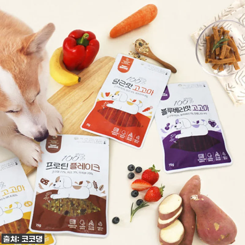 🚨품절임박! 우리 멍뭉이도 반한 고고 관련 이미지 1