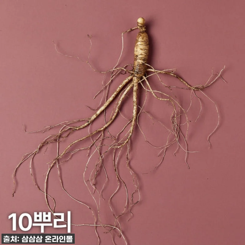 환절기 필수템! 48% 할인 역대급 관련 이미지 1