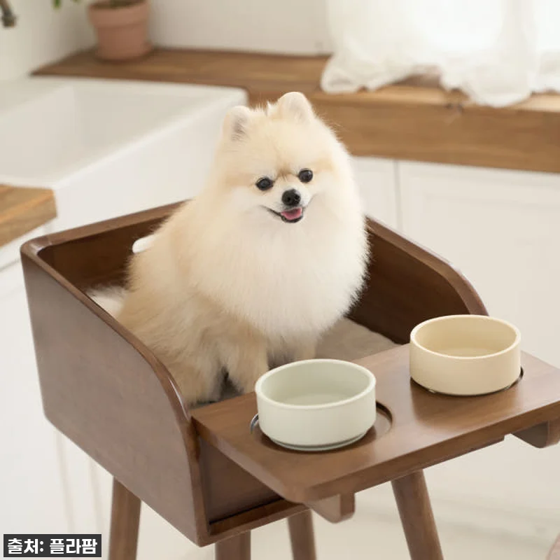 우리 토리 눈높이에 딱! 플라팜 강아 관련 이미지 1