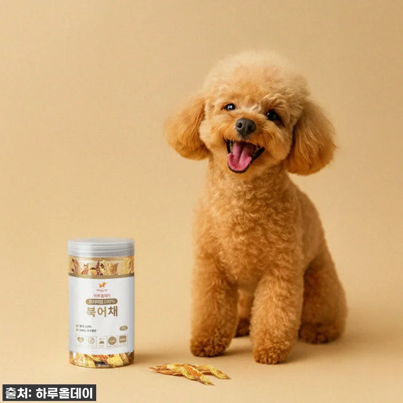 우리집 댕댕이 인생템 등극! 4+1 관련 이미지 1