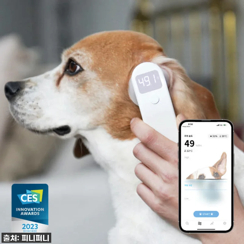 우리 댕댕이 귓병 이제 안녕! 디버펫 관련 이미지 2