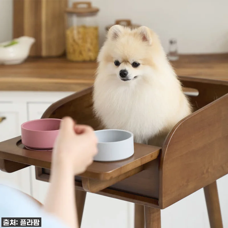 우리 토리 눈높이에 딱! 플라팜 강아 관련 이미지 2