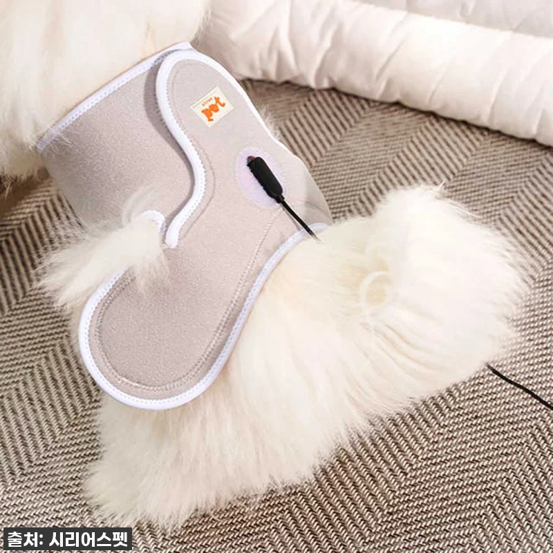 우리집 댕댕이, 이제 아프지 마! 시 관련 이미지 2