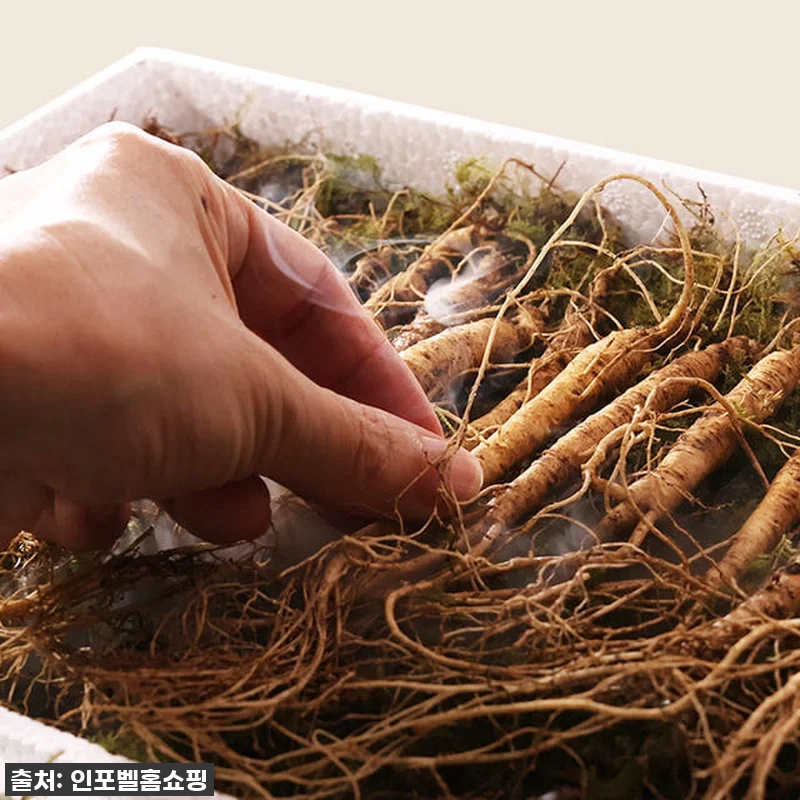 이건 정말 찐이야! 품절대란 진삼애 관련 이미지 2