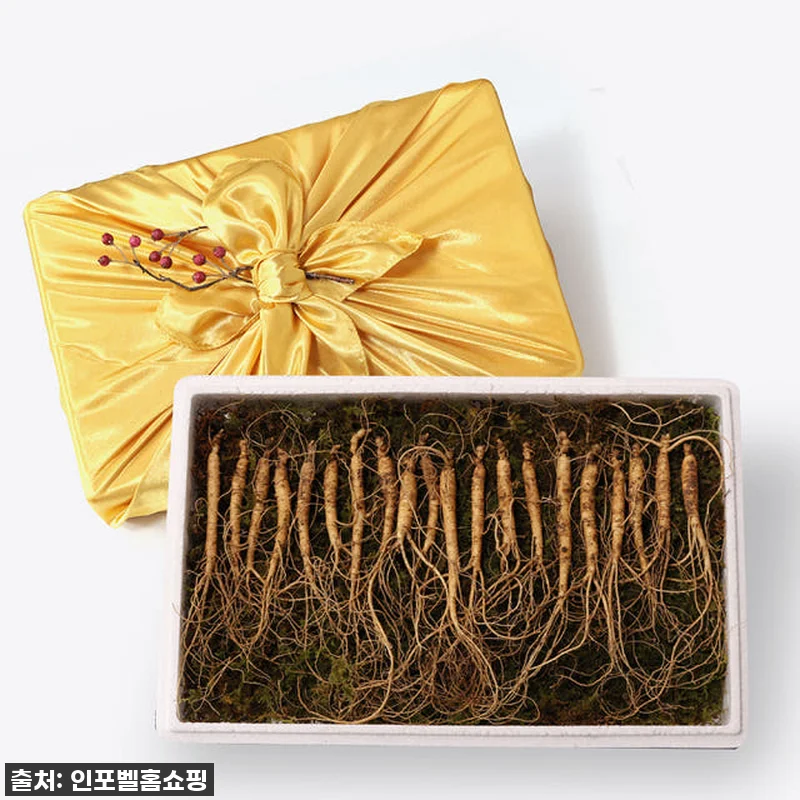 이건 정말 찐이야! 품절대란 진삼애 관련 이미지 4