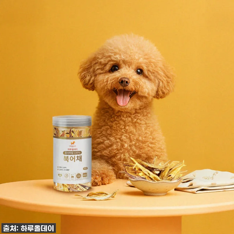 우리집 댕댕이 인생템 등극! 4+1 관련 이미지 4