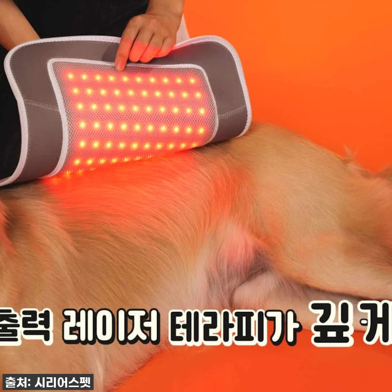 시리어스펫 슬개골 따땃패드 프로 찐사 관련 이미지 5