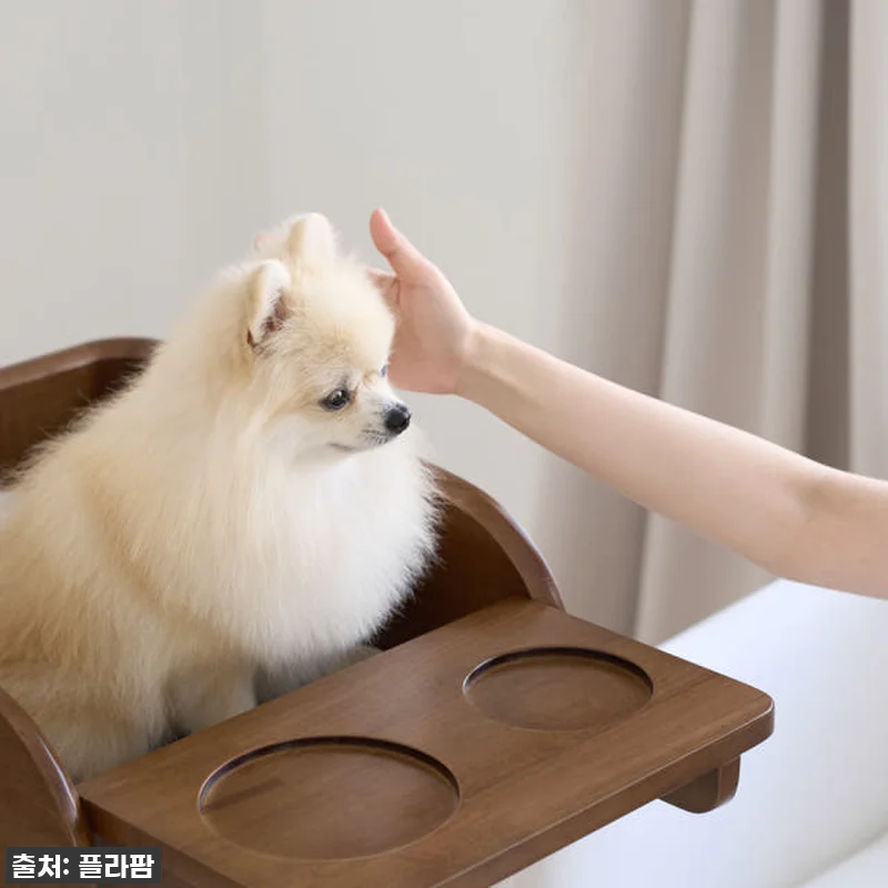 우리 토리 눈높이에 딱! 플라팜 강아 관련 이미지 6
