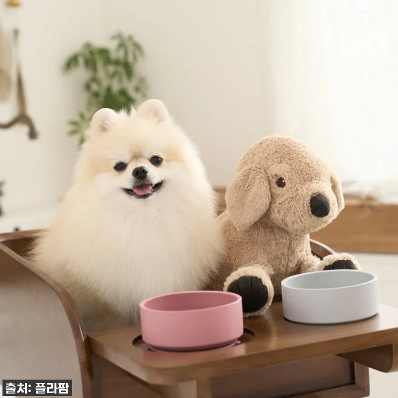 우리 토리 눈높이에 딱! 플라팜 강아 관련 이미지 8