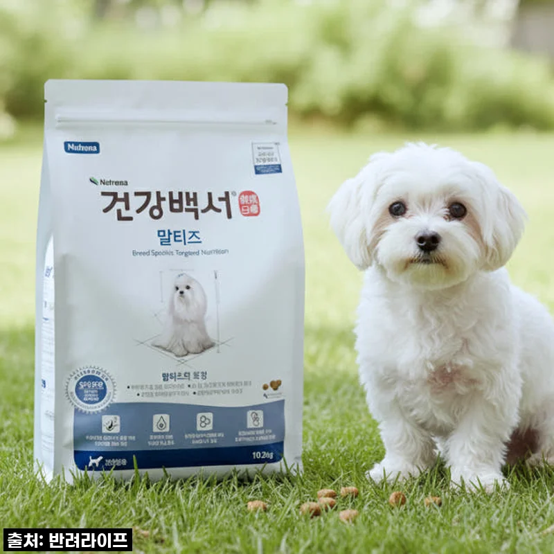 찐후기! 우리 말티즈 눈물과 변 냄새, ‘건강백서 말티즈’로 드디어 졸업했어요! (필수구매템 등극)