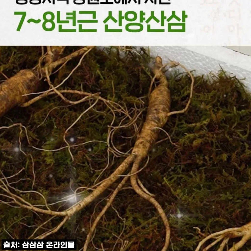 환절기 필수템! 48% 할인 역대급 산양산삼으로 온 가족 건강 제대로 챙겨요!