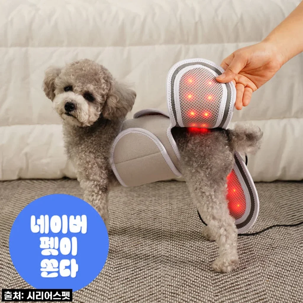 우리집 댕댕이, 이제 아프지 마! 시리어스펫 따땃망토 솔직 사용 후기!