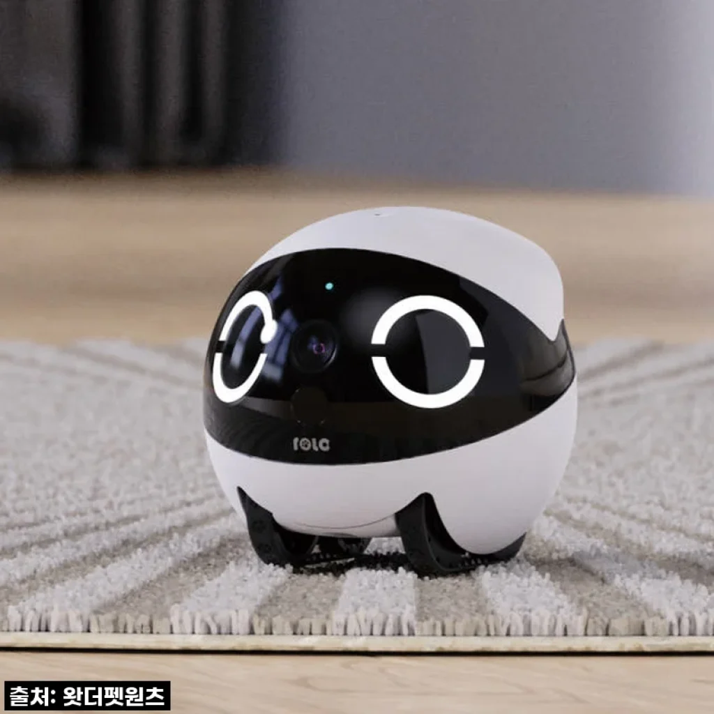 와! 이거 진짜 물건이네? 롤라미니 CCTV 로봇, 우리 집 지킴이부터 펫 육아템까지 완벽 분석!