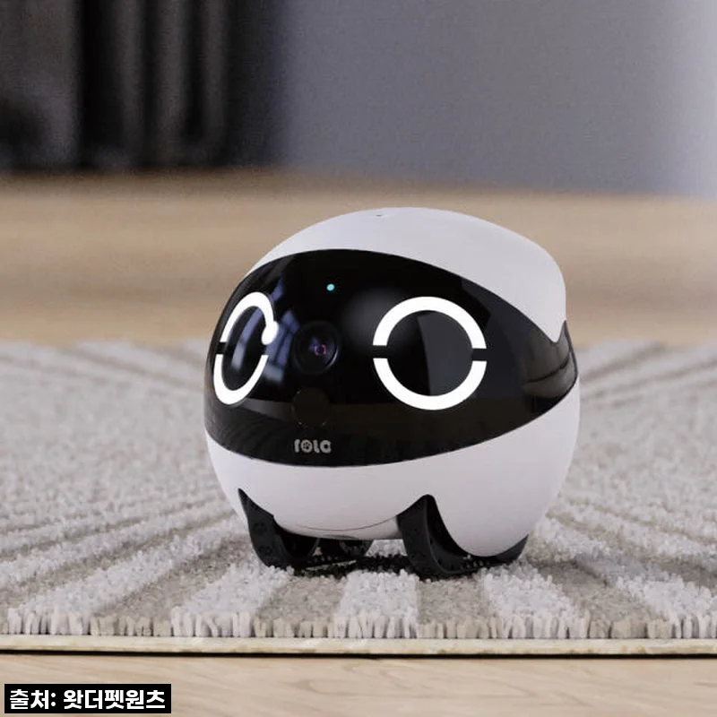 와! 이거 진짜 물건이네? 롤라미니 CCTV 로봇, 우리 집 지킴이부터 펫 육아템까지 완벽 분석!
