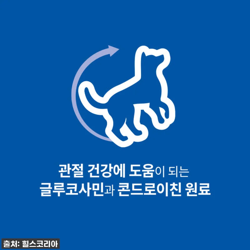 우리 댕댕이 루나의 건강 비결! 힐스 관련 이미지 1