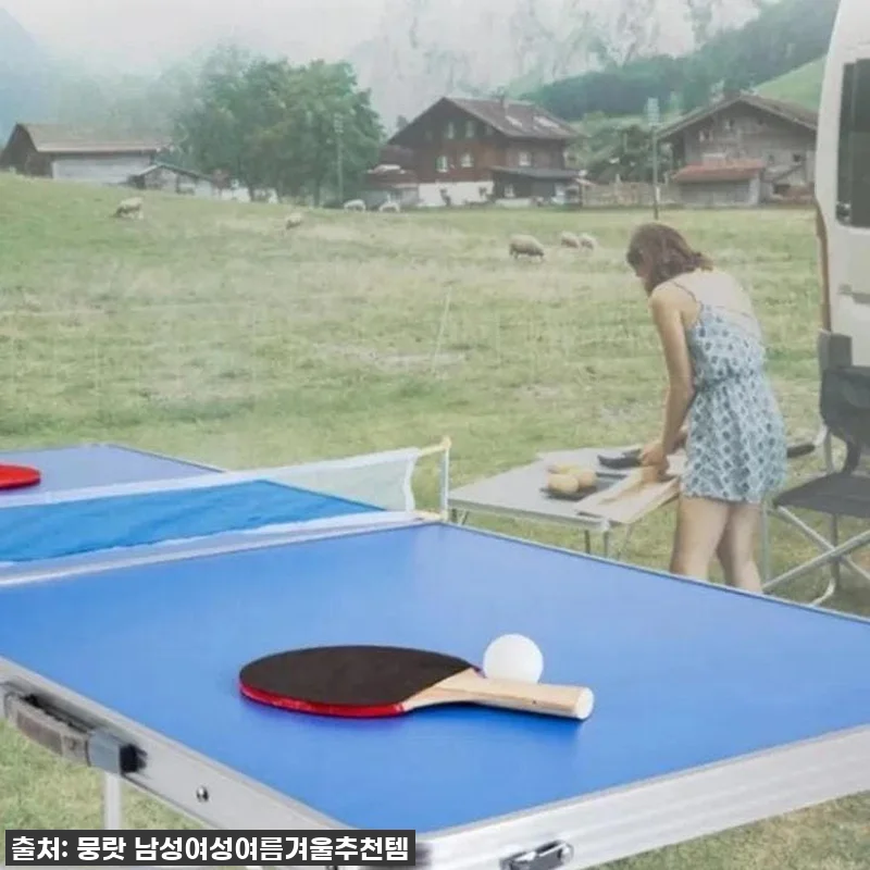 이동식탁구대 접이식탁구대 휴대용 간이 관련 이미지 1