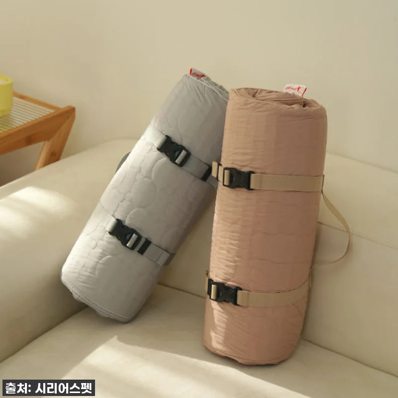 우리집 보리가 벌떡 일어나는 마법! 관련 이미지 2