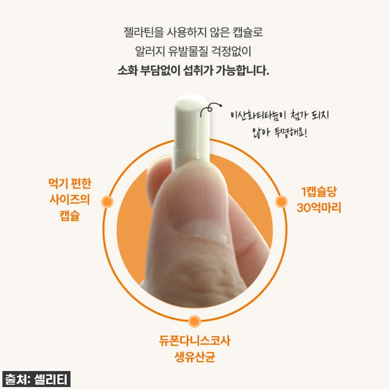 셀리티 프로피오 다니스코 유산균 프로 관련 이미지 3