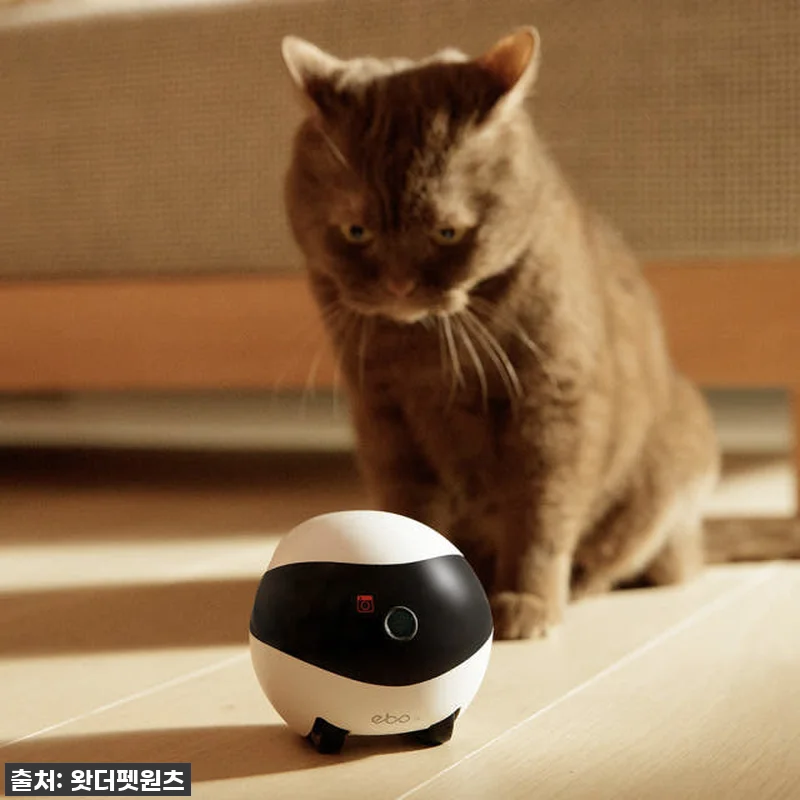 자동충전 이동식 CCTV 홈캠 이보S 관련 이미지 2