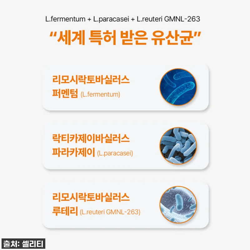 셀리티 프로피오 다니스코 유산균 프로 관련 이미지 6