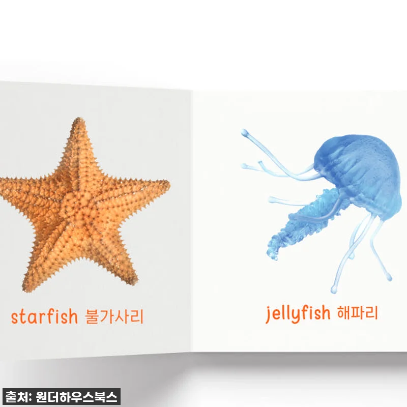 원더하우스북스 마이 퍼스트 러닝 라이 관련 이미지 6