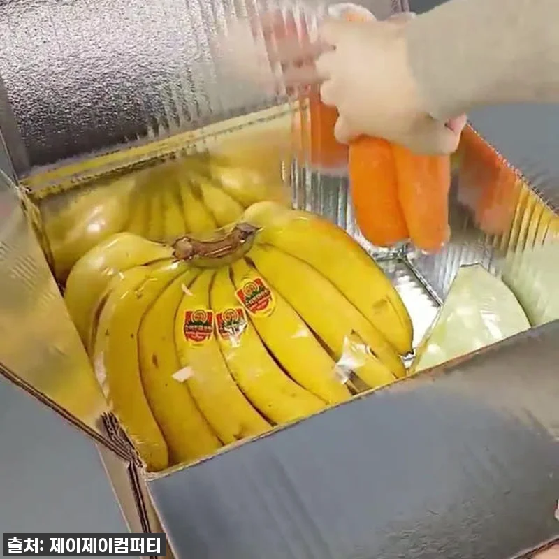 종이 보냉박스 스티로폼 대체 파렛트 관련 이미지 9