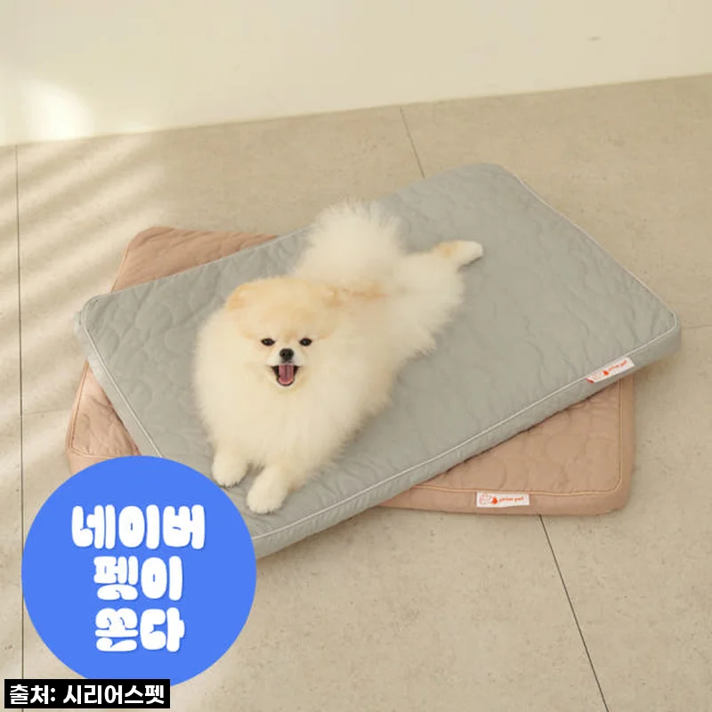 우리집 보리가 벌떡 일어나는 마법! 시리어스펫 슬개골 탄탄베드 솔직 사용후기