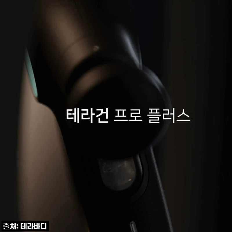 테라바디 테라건 프로 플러스, 부모님께 드렸다가 다시 산 솔직 후기!