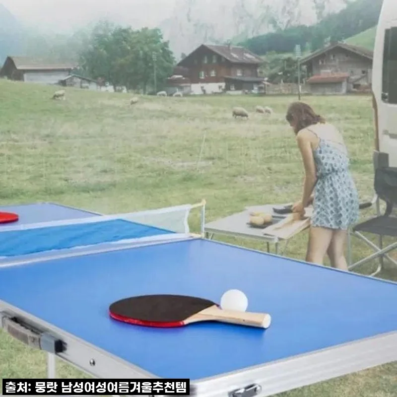이동식탁구대 접이식탁구대 휴대용 간이탁구대 사용후기