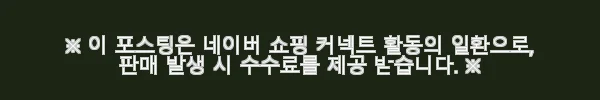 크래쉬배기지 아이콘 스트라이프 올리브 26인치 사용 후기와 매력 포인트 6 이해관계문구