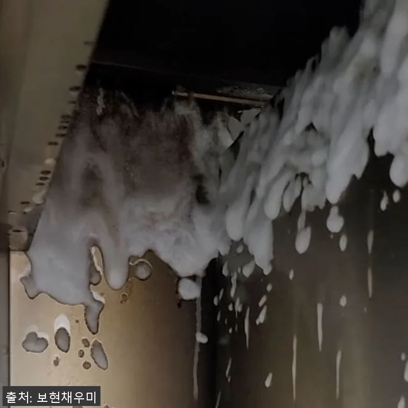 보현채우미 오븐 클리너 10kg 사용 관련 이미지 2