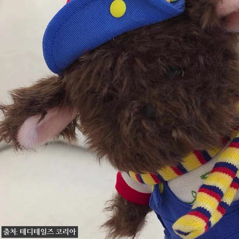 테디테일즈 레나퍼피 플라잉휠 세트 S 관련 이미지 5
