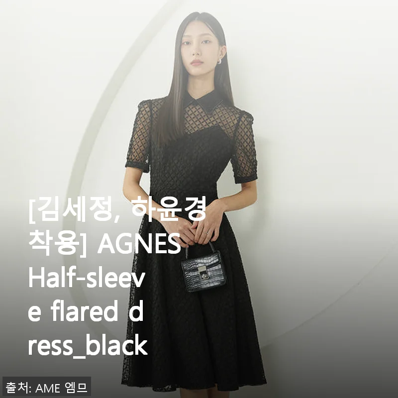 AGNES Half-sleeve flared dress_black 사용후기: 세련된 실루엣과 편안함의 완벽한 조화