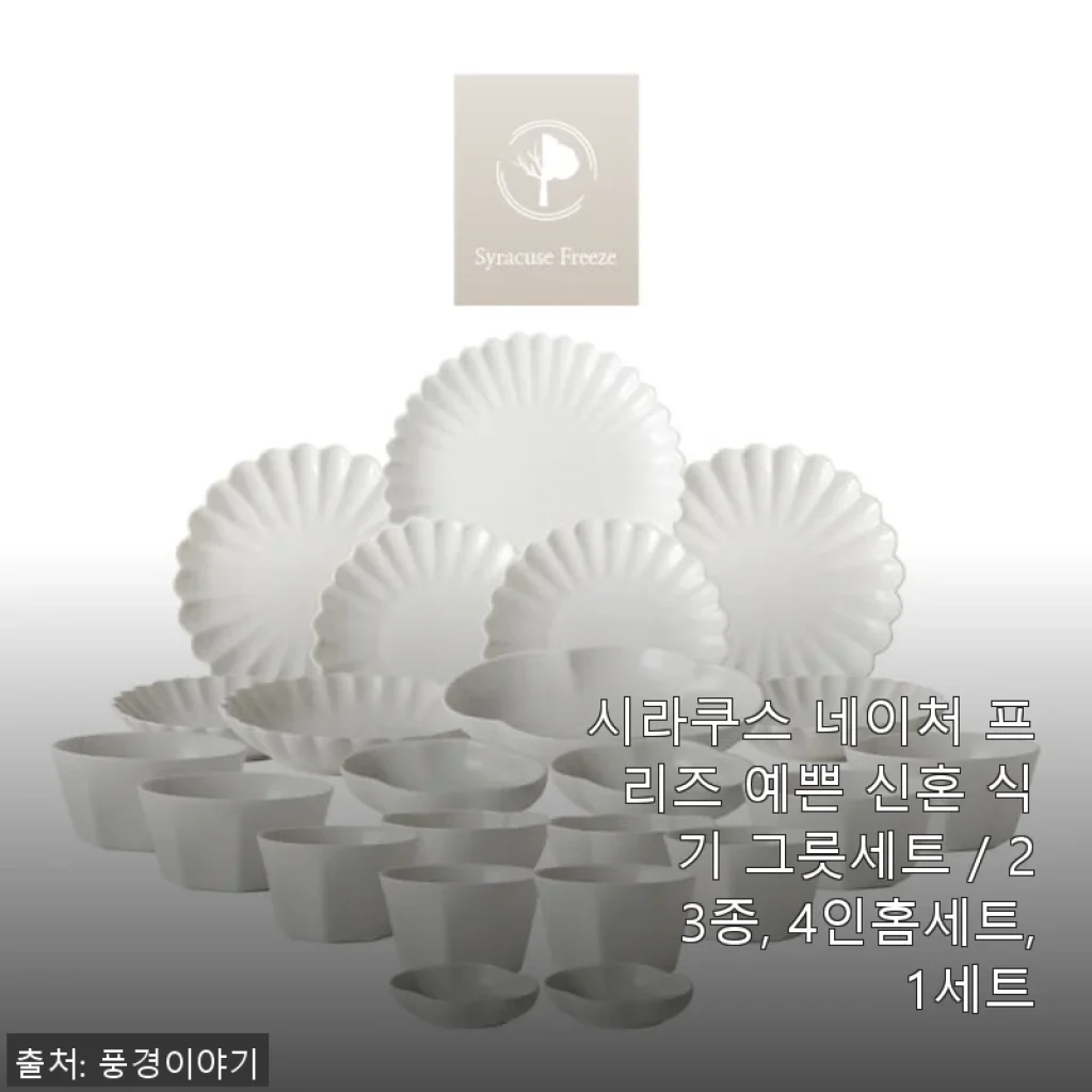 시라쿠스 네이처 프리즈 23종 4인홈세트 사용후기 - 신혼집에 딱 맞는 예쁜 그릇세트