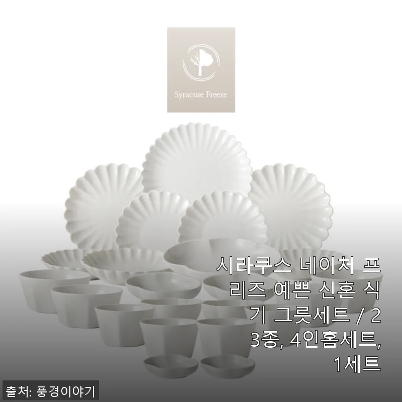 시라쿠스 네이처 프리즈 23종 4인홈세트 사용후기 - 신혼집에 딱 맞는 예쁜 그릇세트