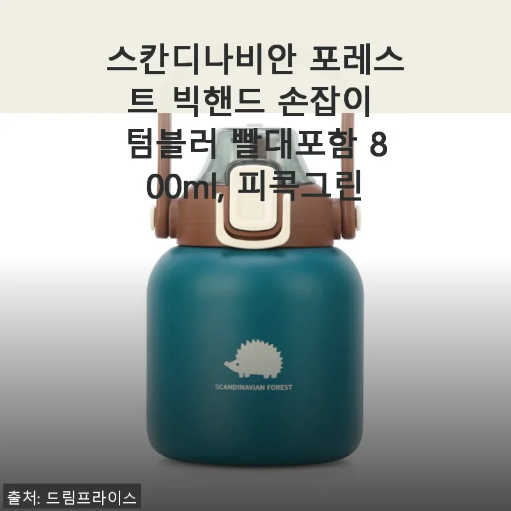 스칸디나비안 포레스트 빅핸드 손잡이 텀블러 800ml 피콕그린 사용후기