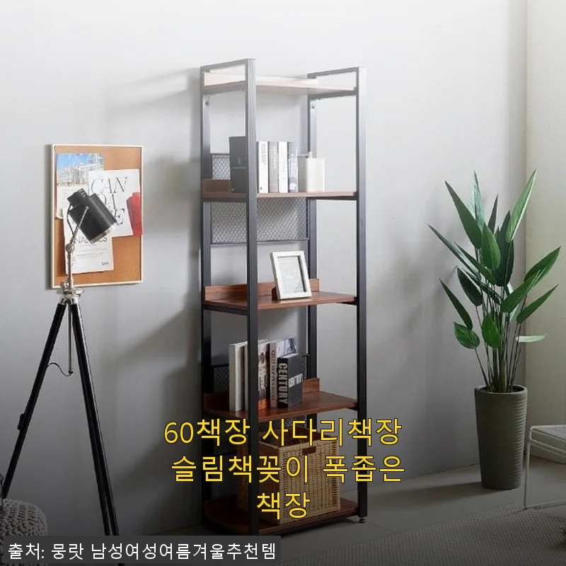 60책장 사다리책장 슬림책꽂이 사용후기: 공간 활용에 탁월한 폭좁은 책장