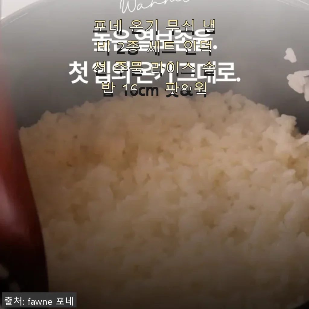 포네 온기 무쇠 냄비 2종 세트 사용 후기: 인덕션 라이스 솥밥 팟&웍의 매력