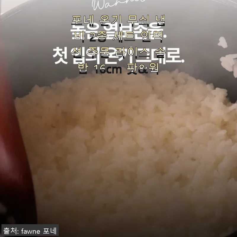 포네 온기 무쇠 냄비 2종 세트 사용 후기: 인덕션 라이스 솥밥 팟&웍의 매력