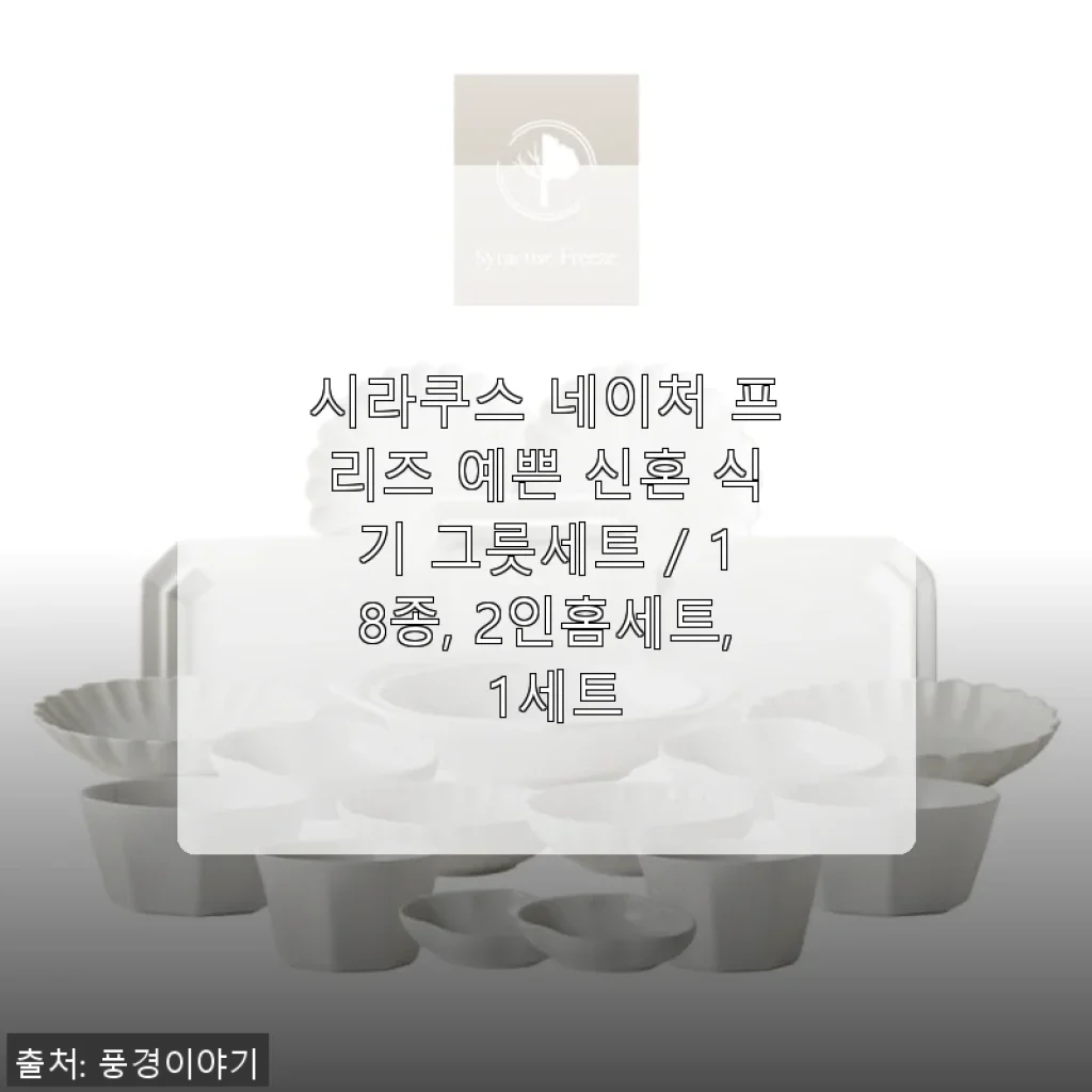 시라쿠스 네이처 프리즈 예쁜 신혼 식기 그릇세트 사용후기