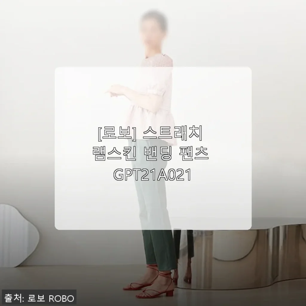 로보 스트래치 램스킨 밴딩 팬츠 GPT21A021, 직접 입어본 솔직한 후기