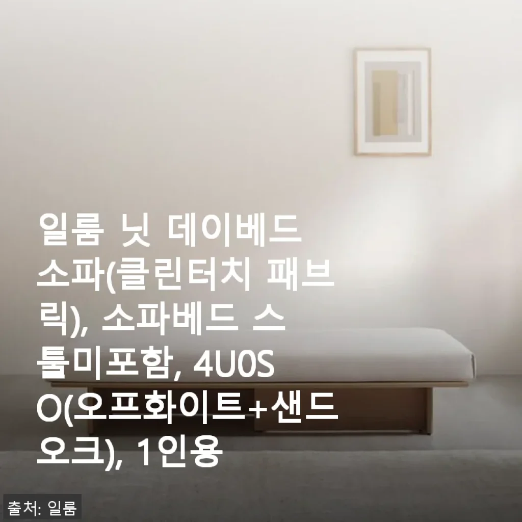 일룸 닛 데이베드 소파(클린터치 패브릭) 사용후기: 깔끔한 디자인과 편안한 쿠션감의 조화