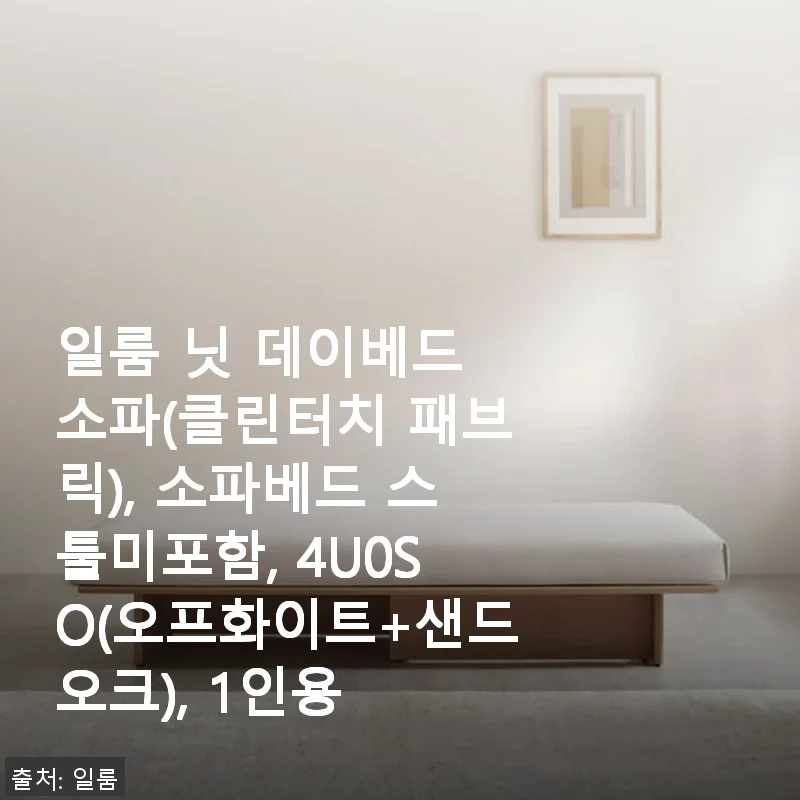 일룸 닛 데이베드 소파(클린터치 패브릭) 사용후기: 깔끔한 디자인과 편안한 쿠션감의 조화