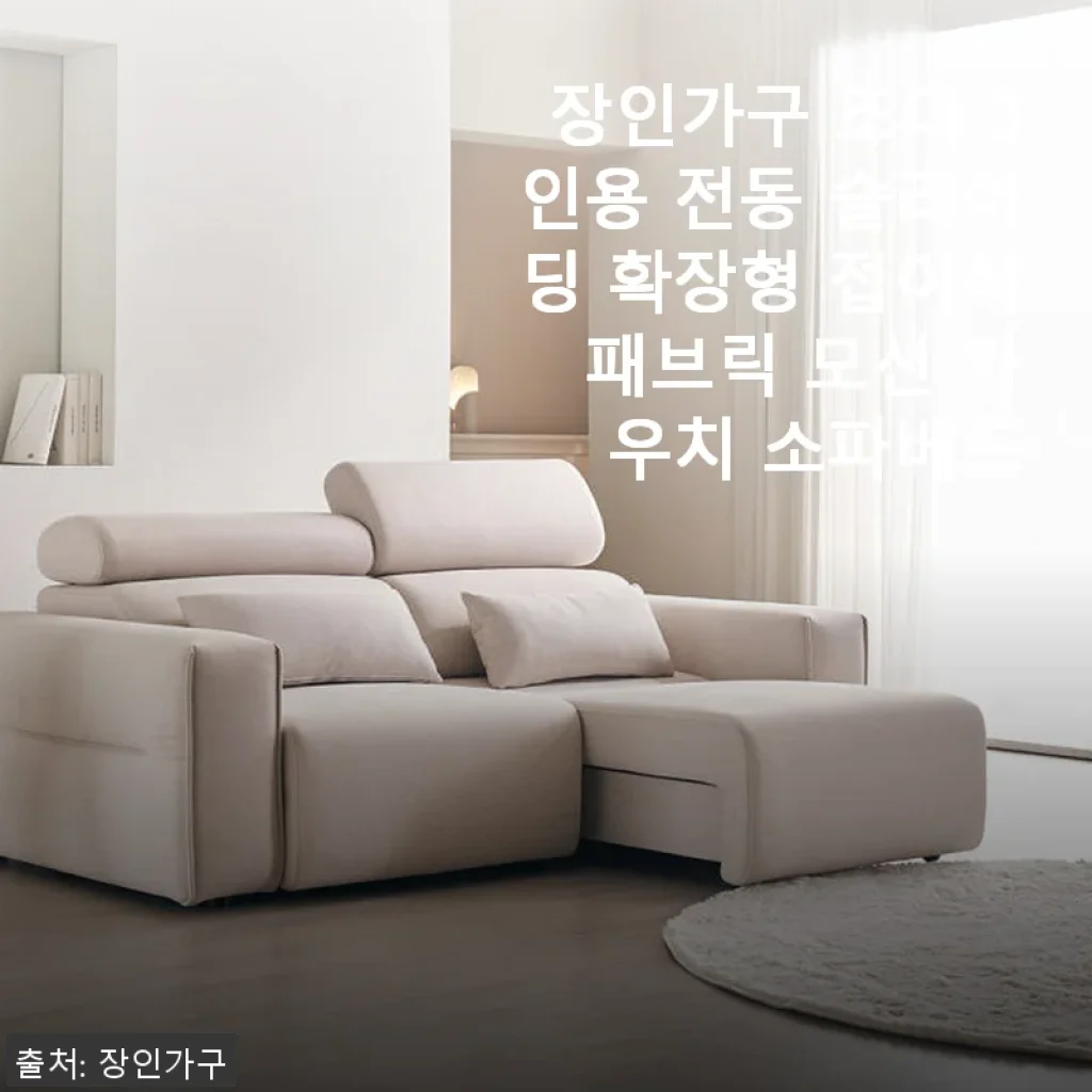 장인가구 조디 3인용 전동 슬라이딩 확장형 접이식 패브릭 모션 카우치 소파베드 사용후기