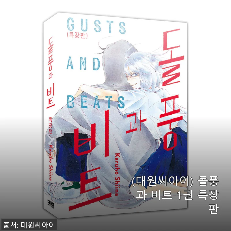 대원씨아이 돌풍과 비트 1권 특장판 직접 써본 솔직한 후기