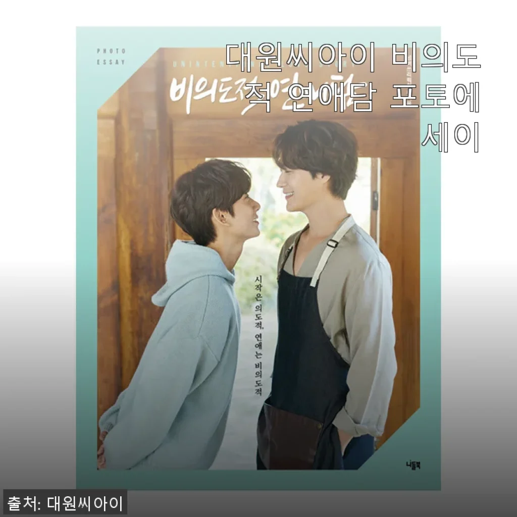대원씨아이 비의도적 연애담 포토에세이 사용후기